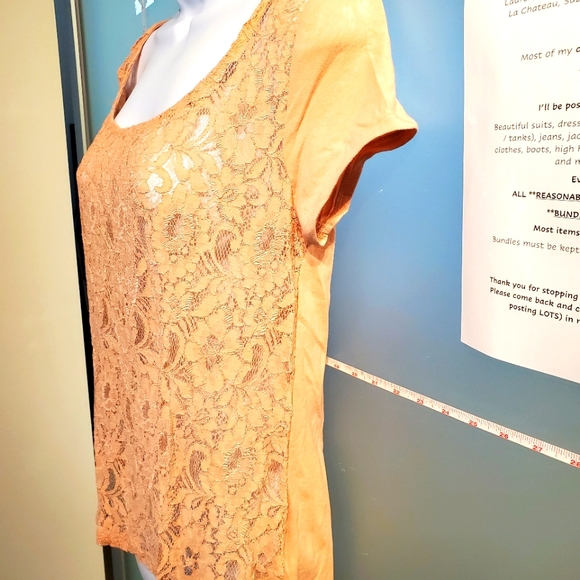 Beautiful Lace-Front, Solid Back and Sleeves, Office Casual S/S Top, Stretchy - Picture 5 of 10